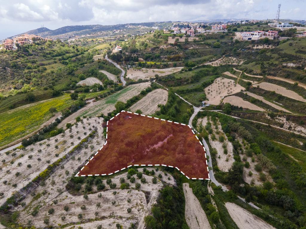 Field-Tsada-PR37924