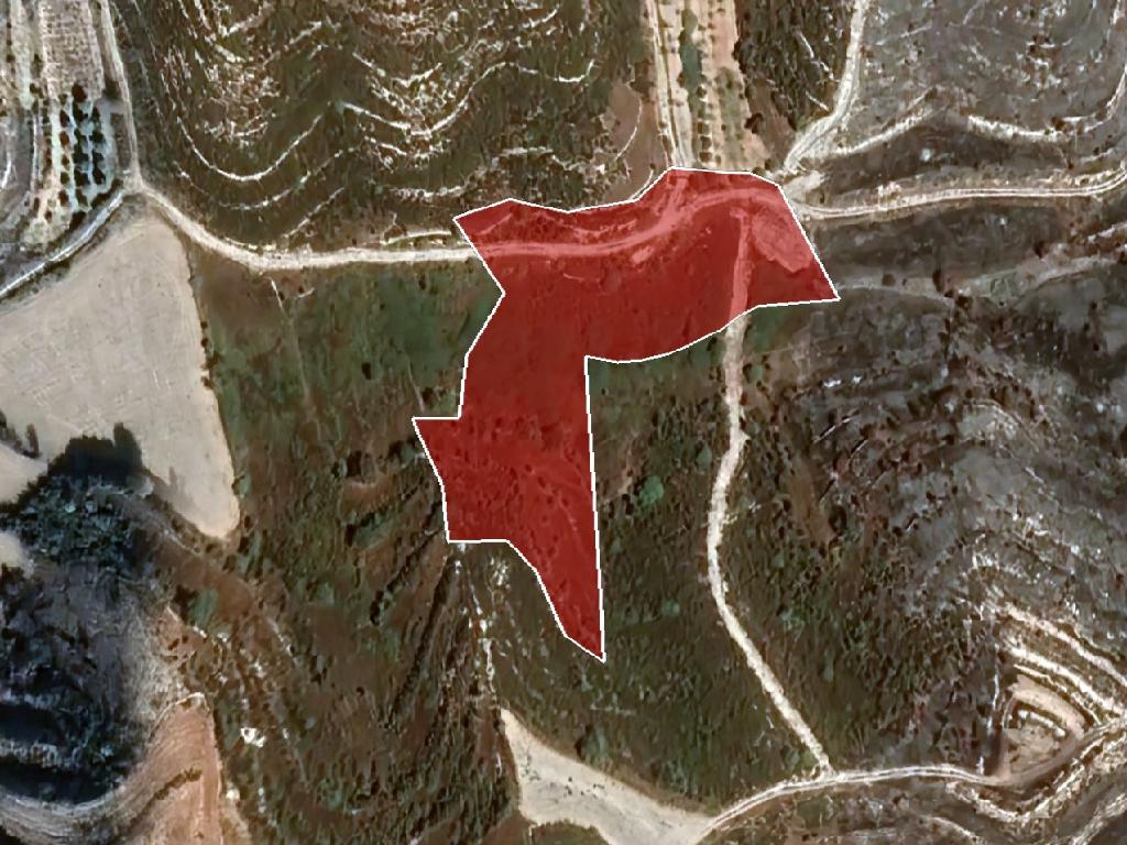 Field-Pachna-PR38051
