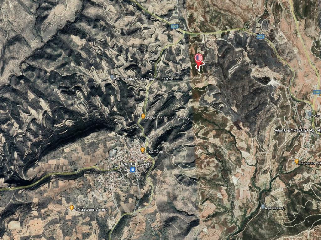 Field-Pachna-PR38051