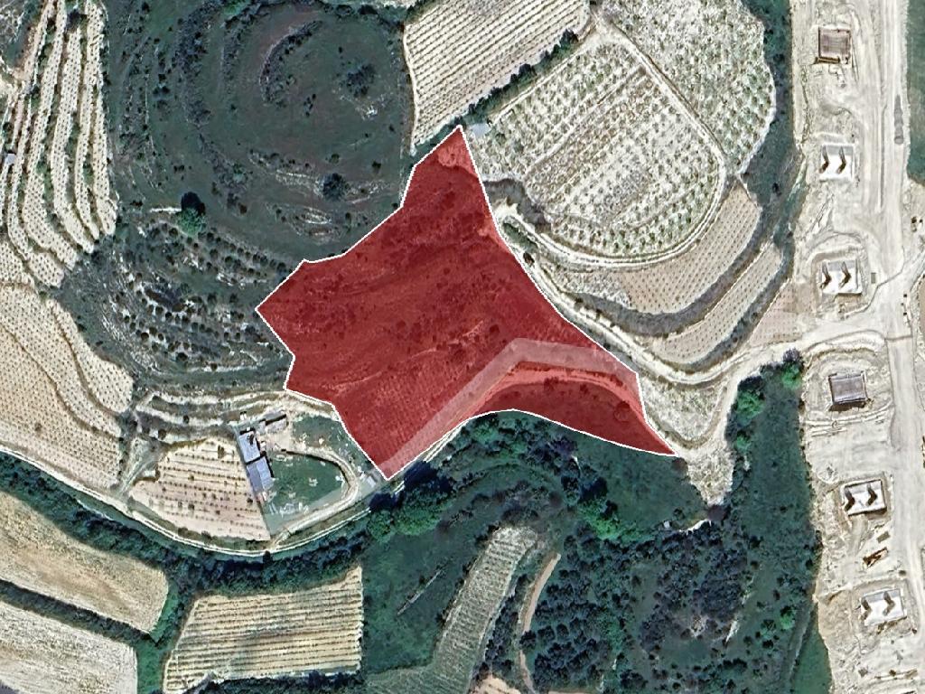 Field-Koili-PR39469