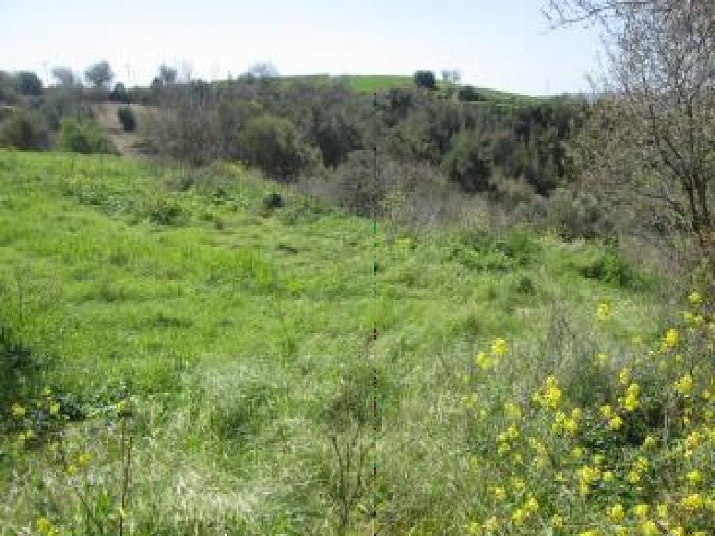 Field-Drymou-PR39932