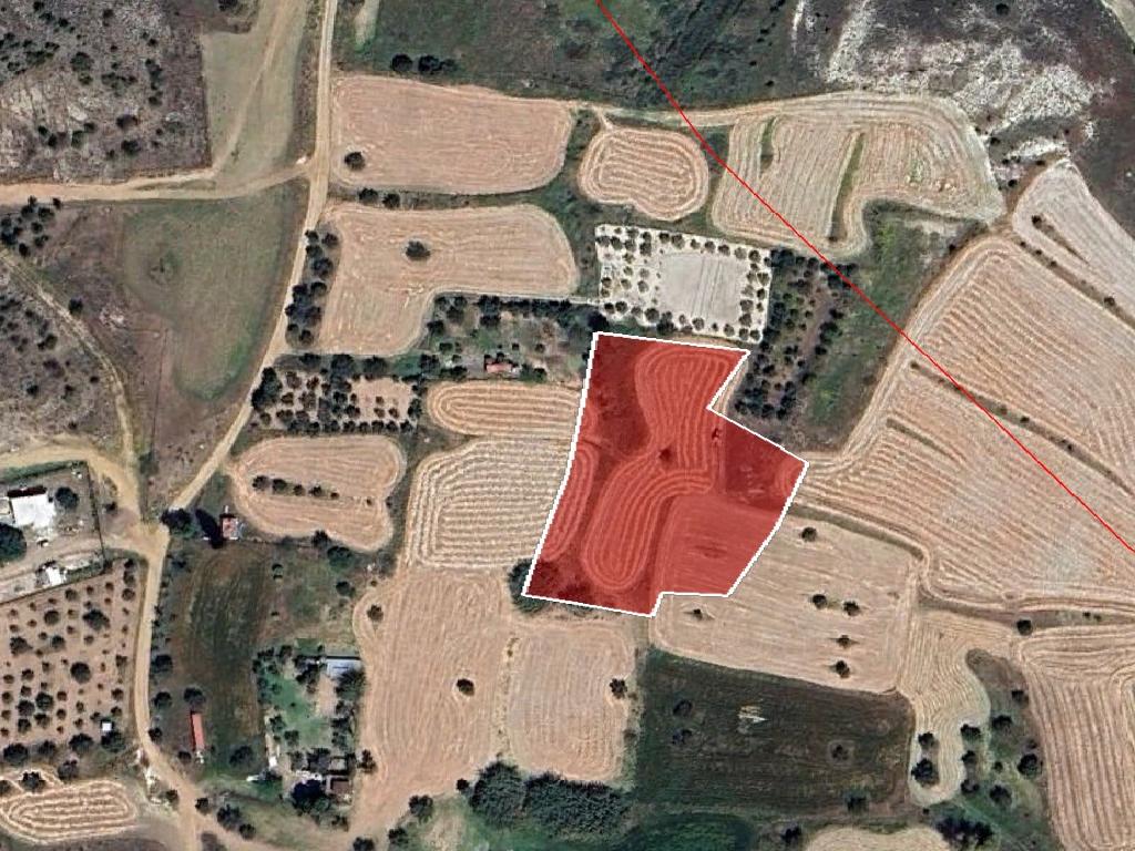 Field-Lympia-PR39986