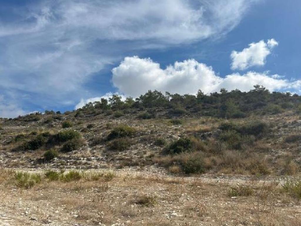 &Chi;&omega;&rho;ά&phi;&iota; - &Chi;&omicron;&iota;&rho;&omicron;&kappa;&omicron;&iota;&tau;ί&alpha;, &Lambda;ά&rho;&nu;&alpha;&kappa;&alpha;