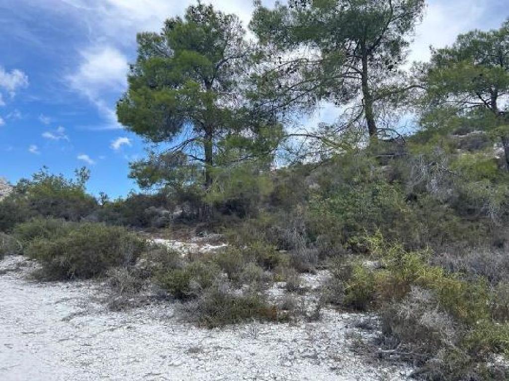 &Chi;&omega;&rho;ά&phi;&iota; - &Chi;&omicron;&iota;&rho;&omicron;&kappa;&omicron;&iota;&tau;ί&alpha;, &Lambda;ά&rho;&nu;&alpha;&kappa;&alpha;