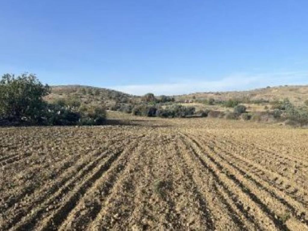 Field-Agrokipia-PR40389