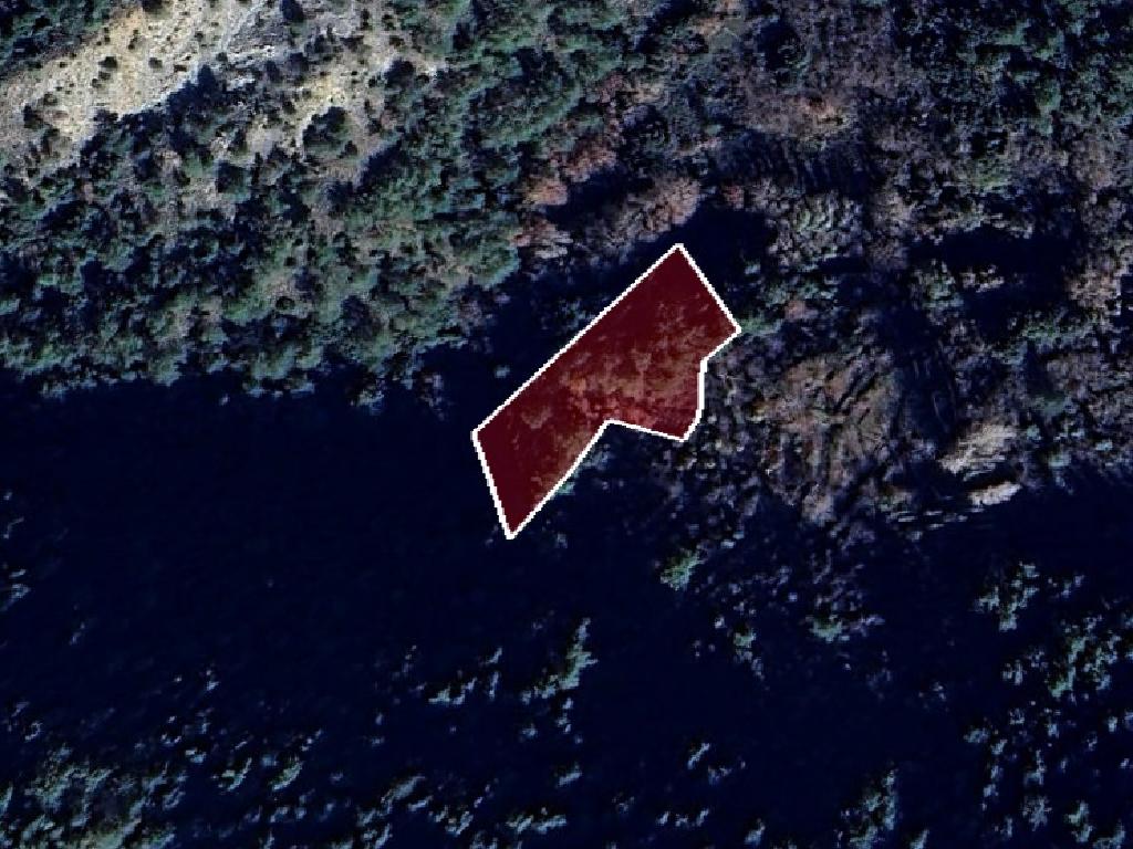 Field-Prodromos-PR40674