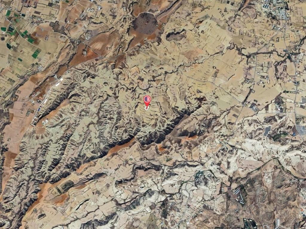 Field-Pera-PR41293