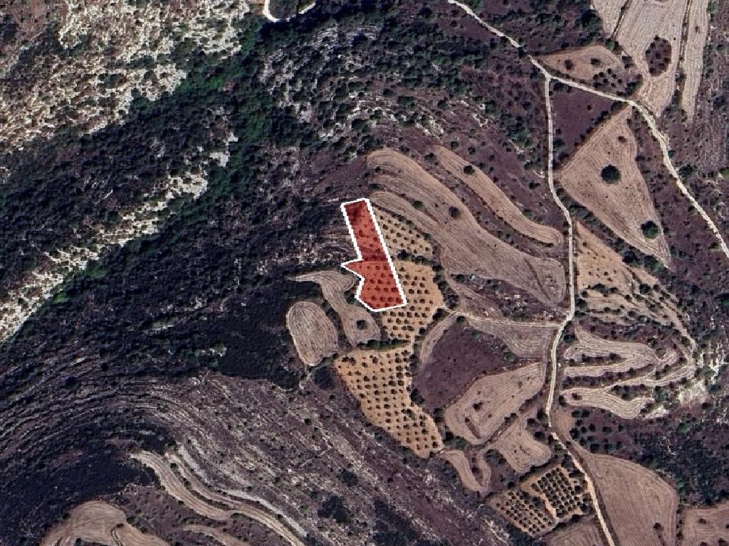 Field-Kritou Terra-PR41712