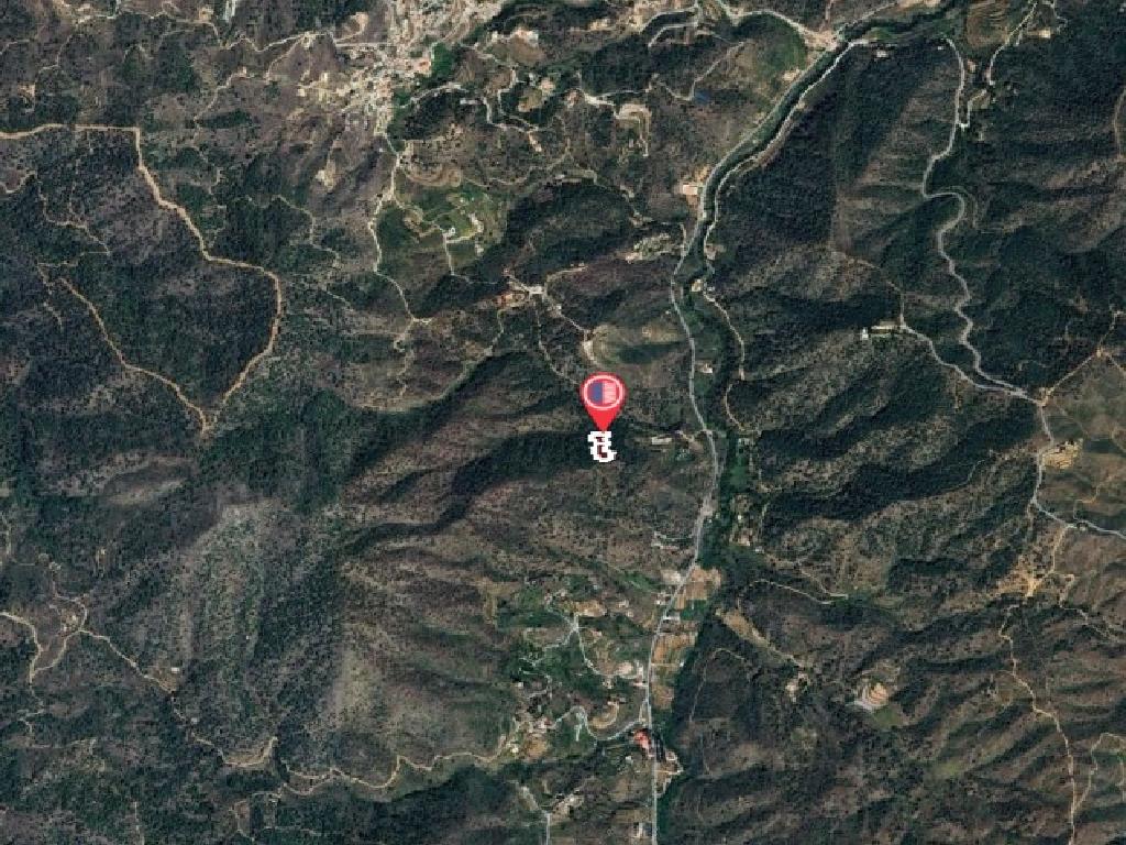 Field-Palaichori Orinis-PR41929