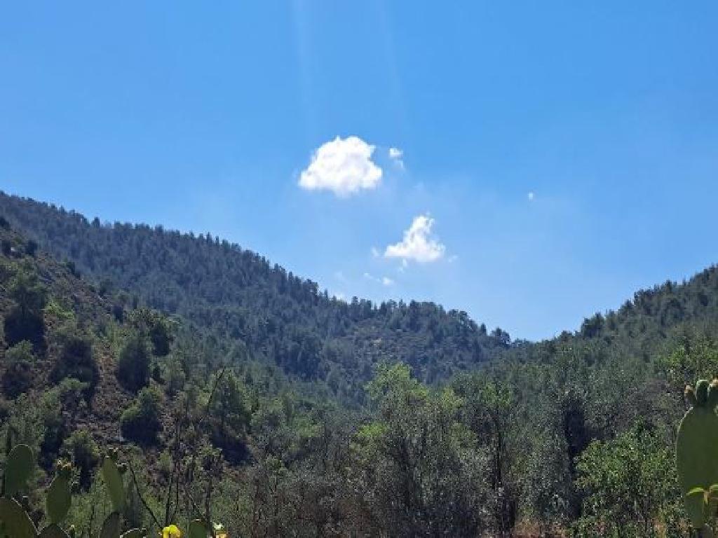 Field-Farmakas-PR42631