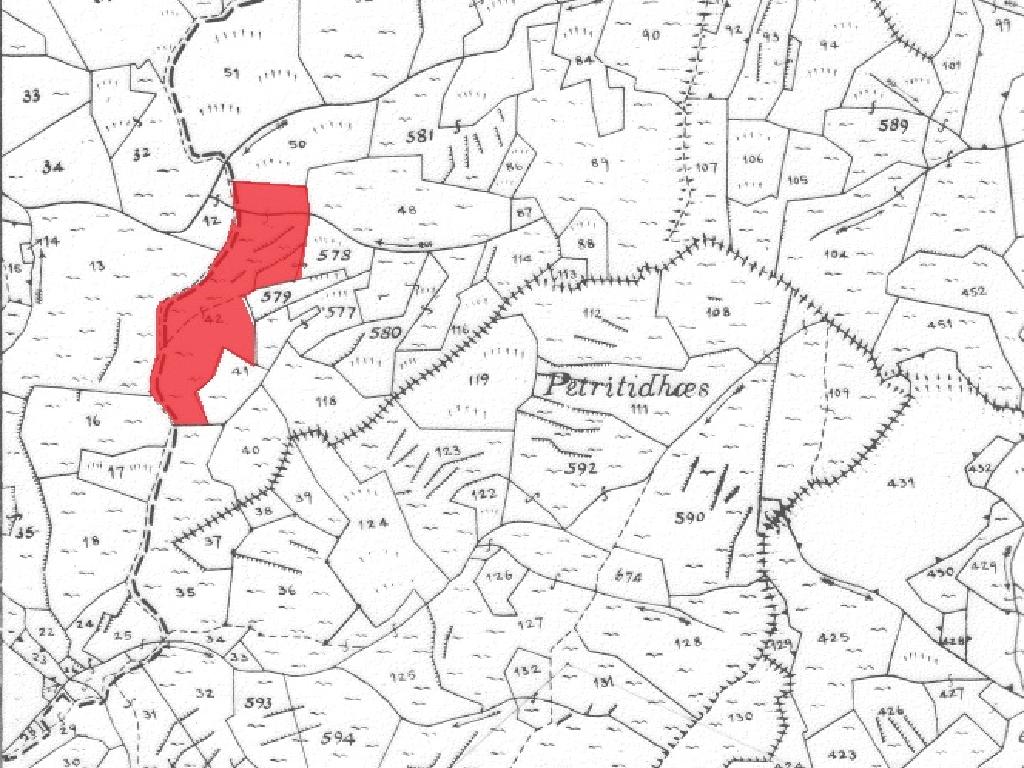 Field-Farmakas-PR42631