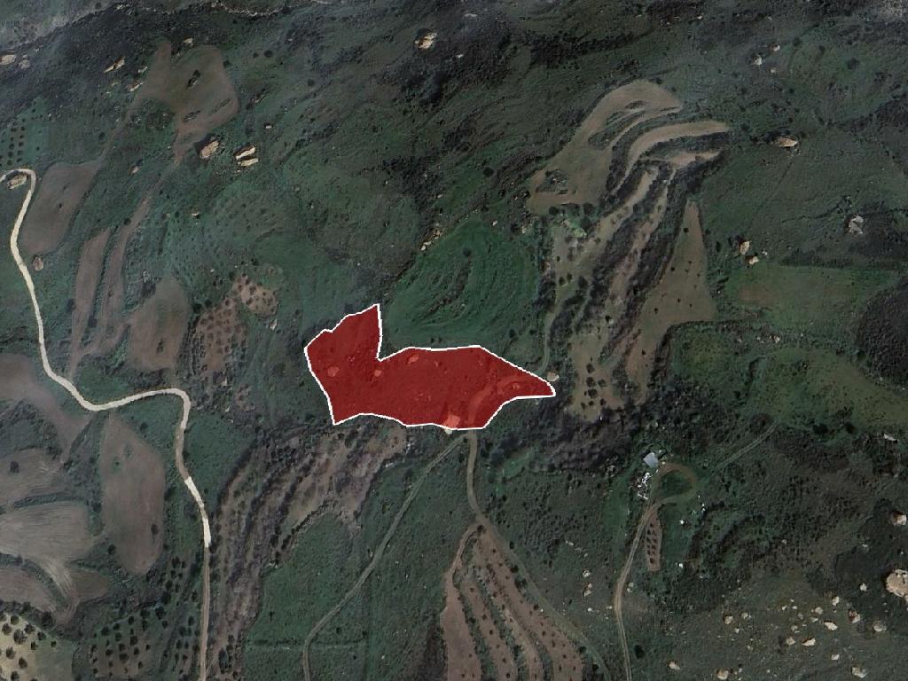 &Chi;&omega;&rho;ά&phi;&iota; - Ί&nu;&epsilon;&iota;&alpha;, &Pi;ά&phi;&omicron;&sigmaf;