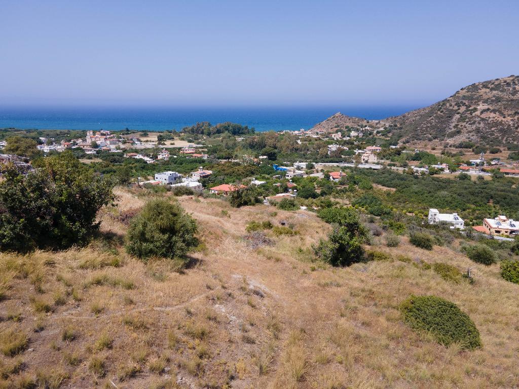 Field-Kato Pyrgos-PR13560