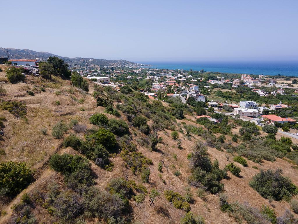 Field-Kato Pyrgos-PR13560