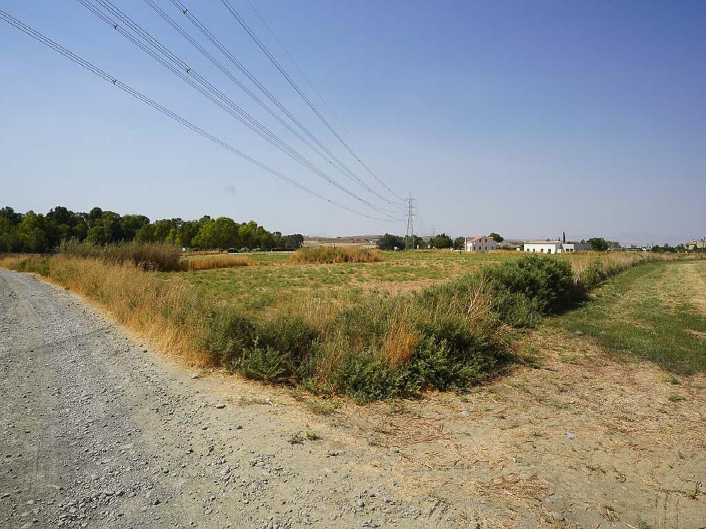 Field - Dali, Nicosia