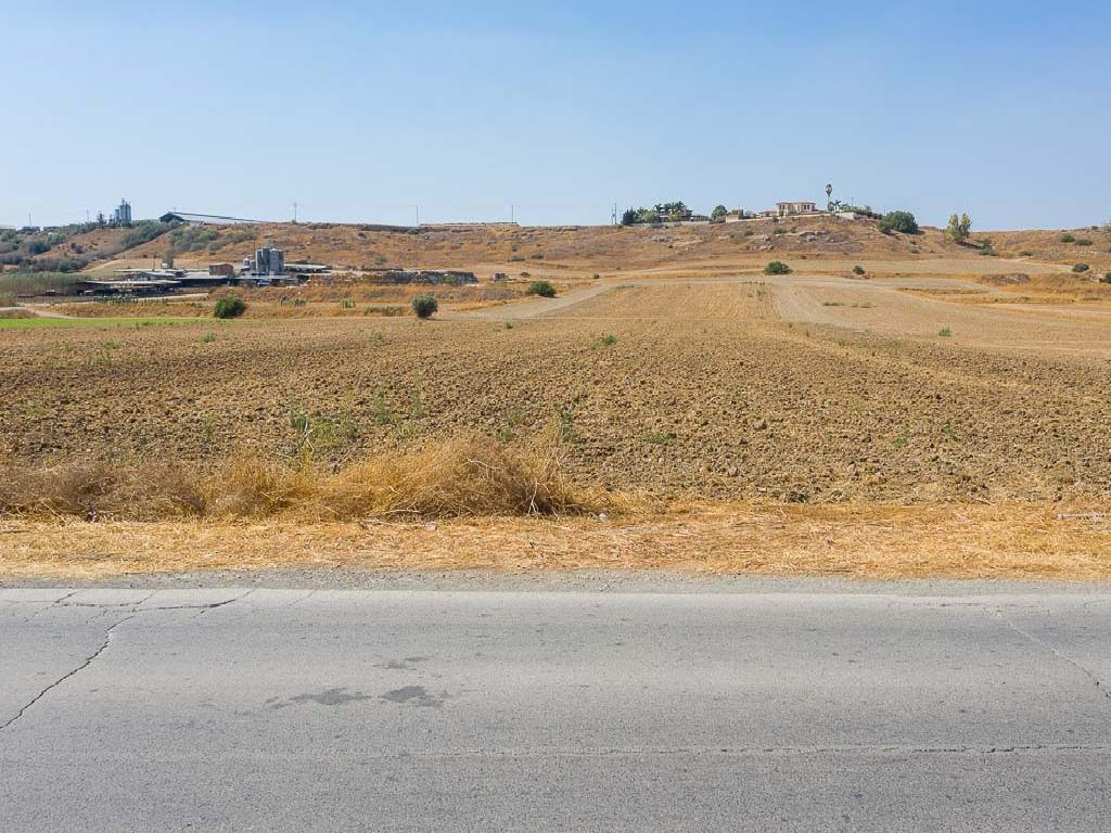 Field - Dali, Nicosia