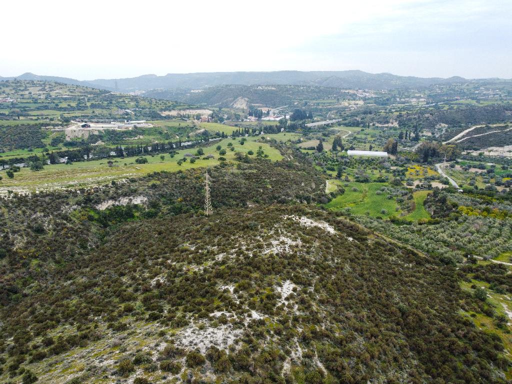 Field - Skarinou, Larnaca