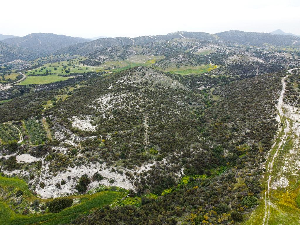 Field - Skarinou, Larnaca