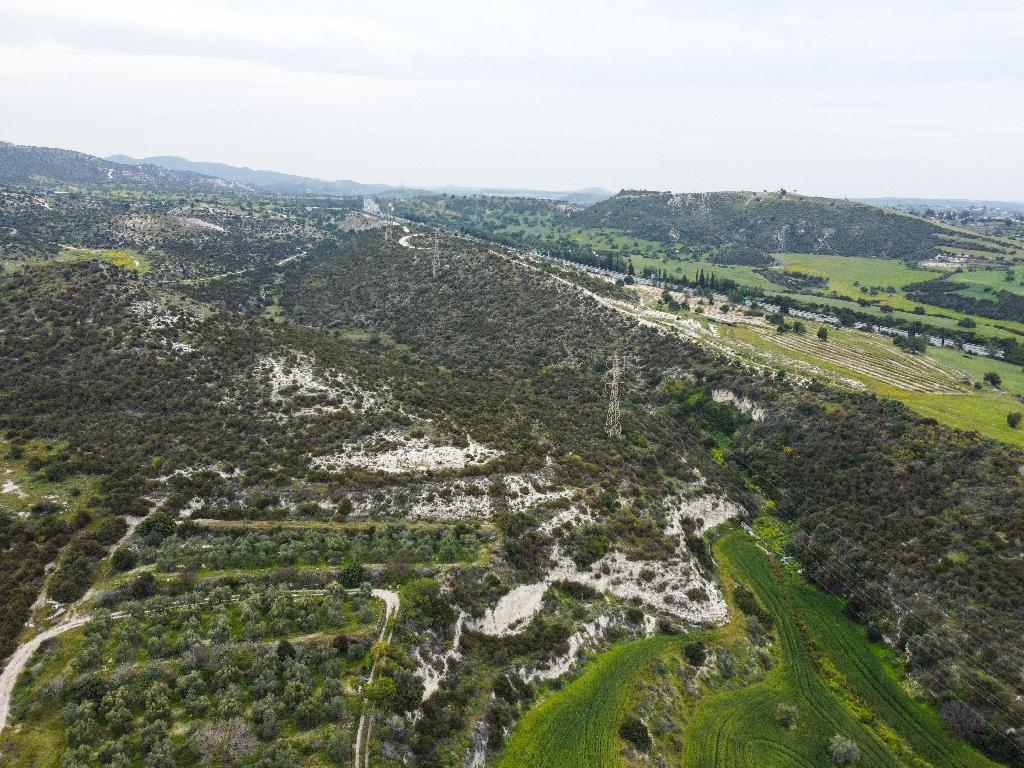 Field - Skarinou, Larnaca