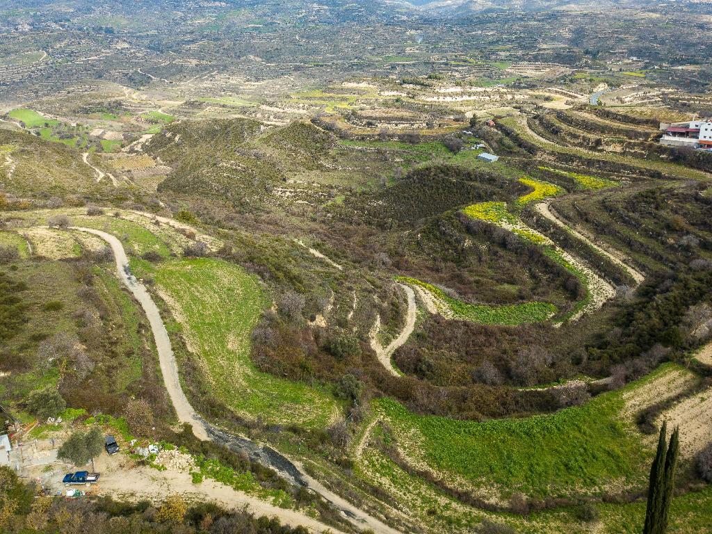 Field-Pachna-PR35256