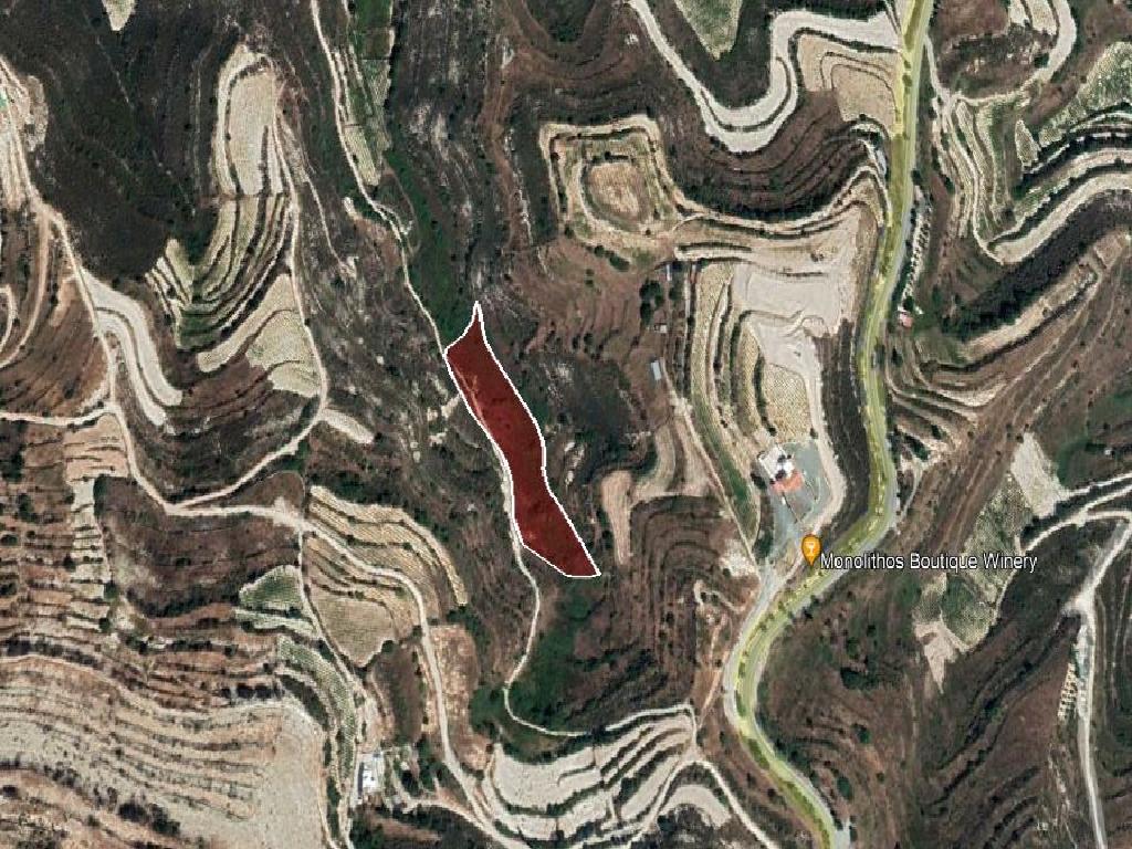 Field-Pachna-PR35256