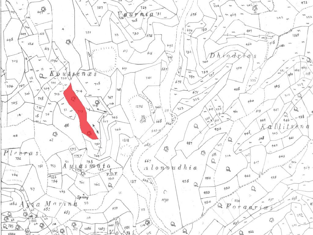 Field-Pachna-PR35256