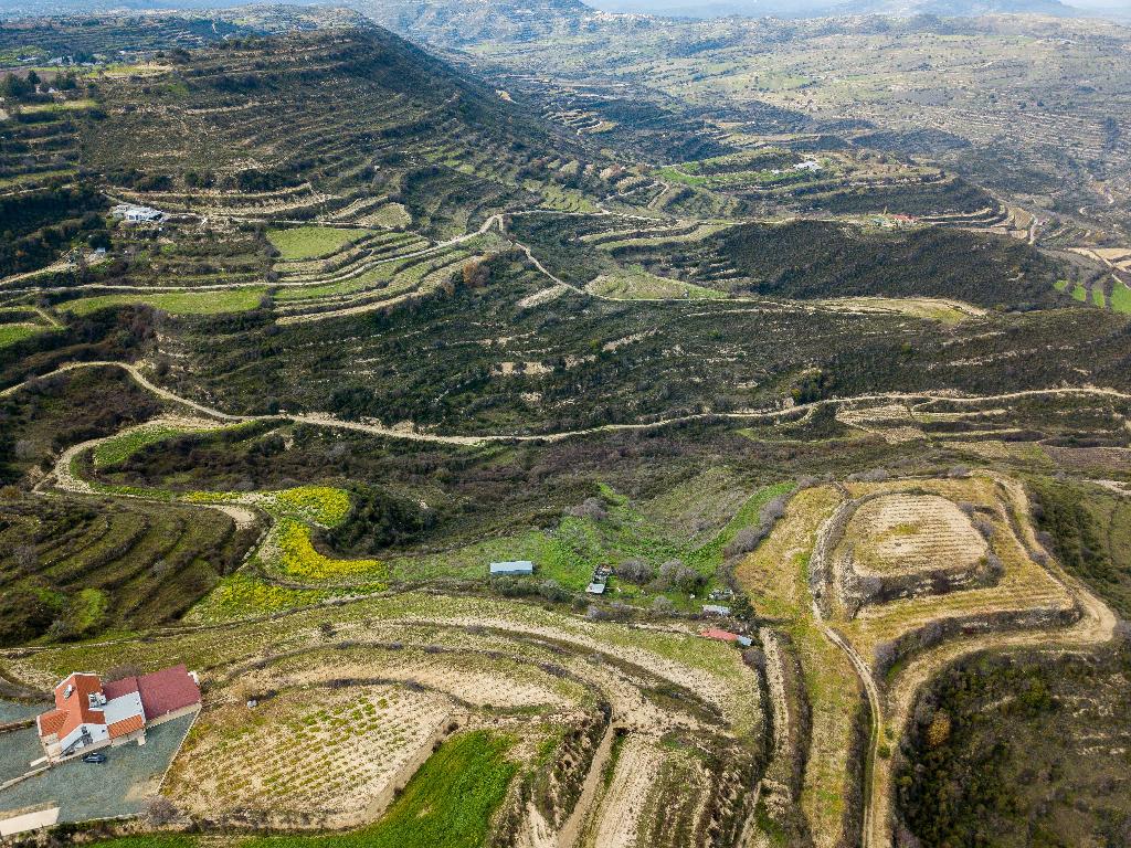 Field-Pachna-PR35256