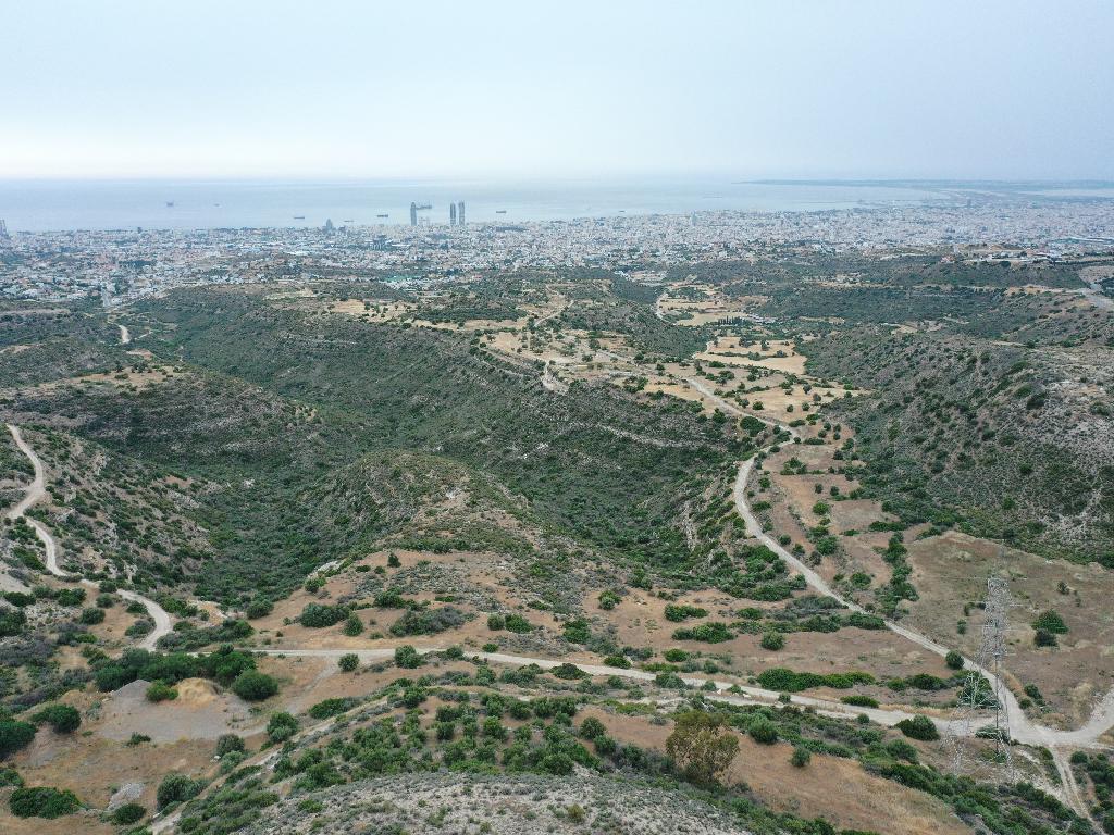 Field - Agios Athanasios, Limassol