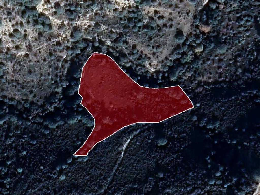 Field-Anogira-PR36199