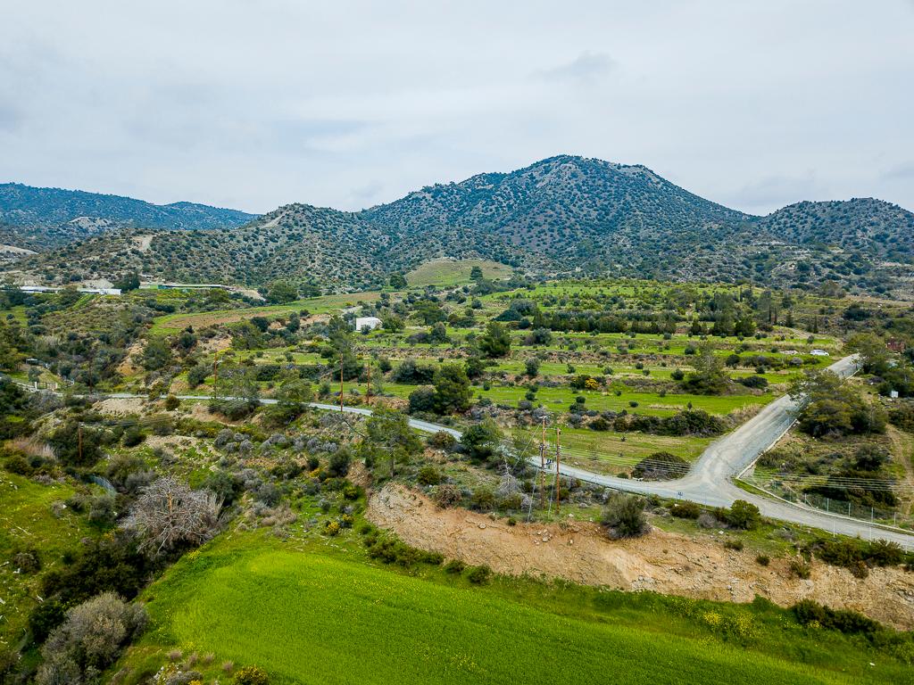 Field - Pyrgos, Limassol