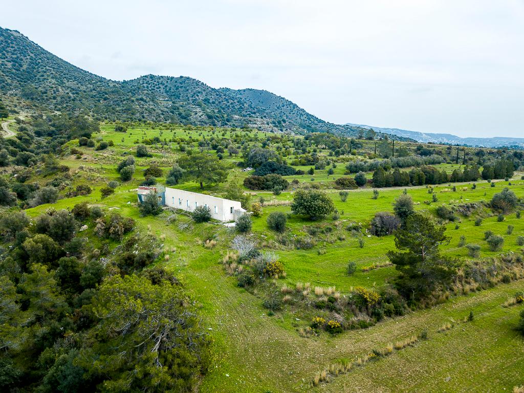 Field-Pyrgos-PR40203