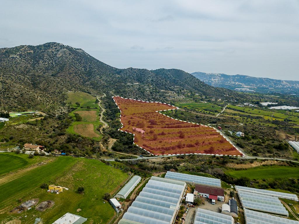 Field - Pyrgos, Limassol