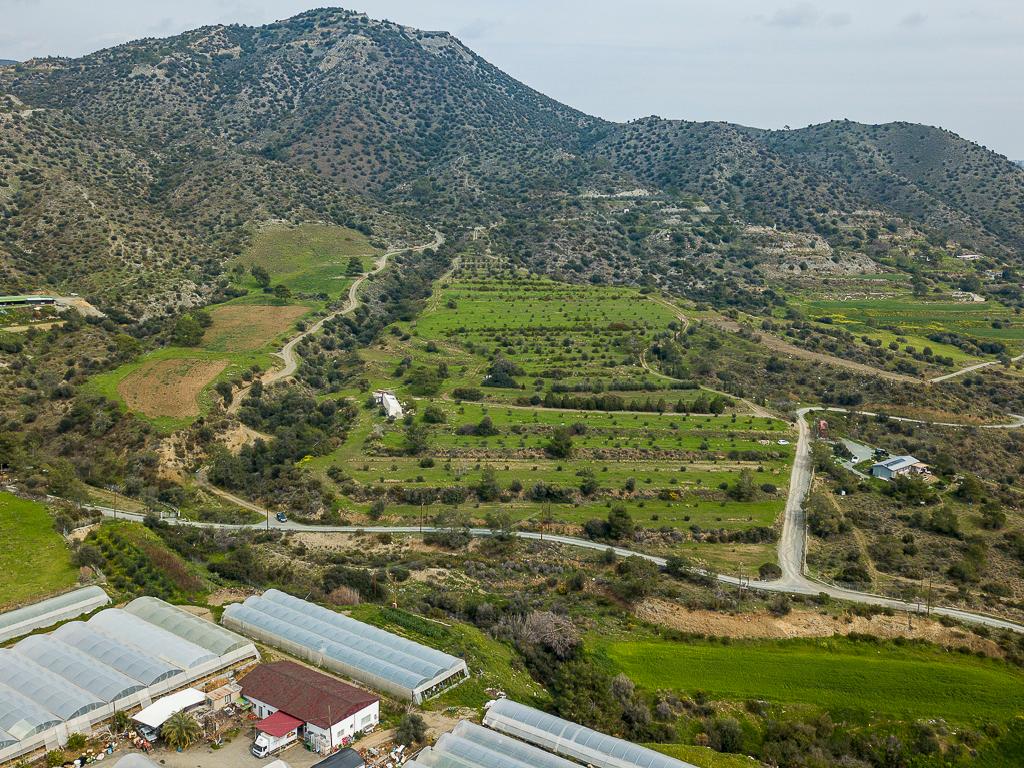 Field - Pyrgos, Limassol