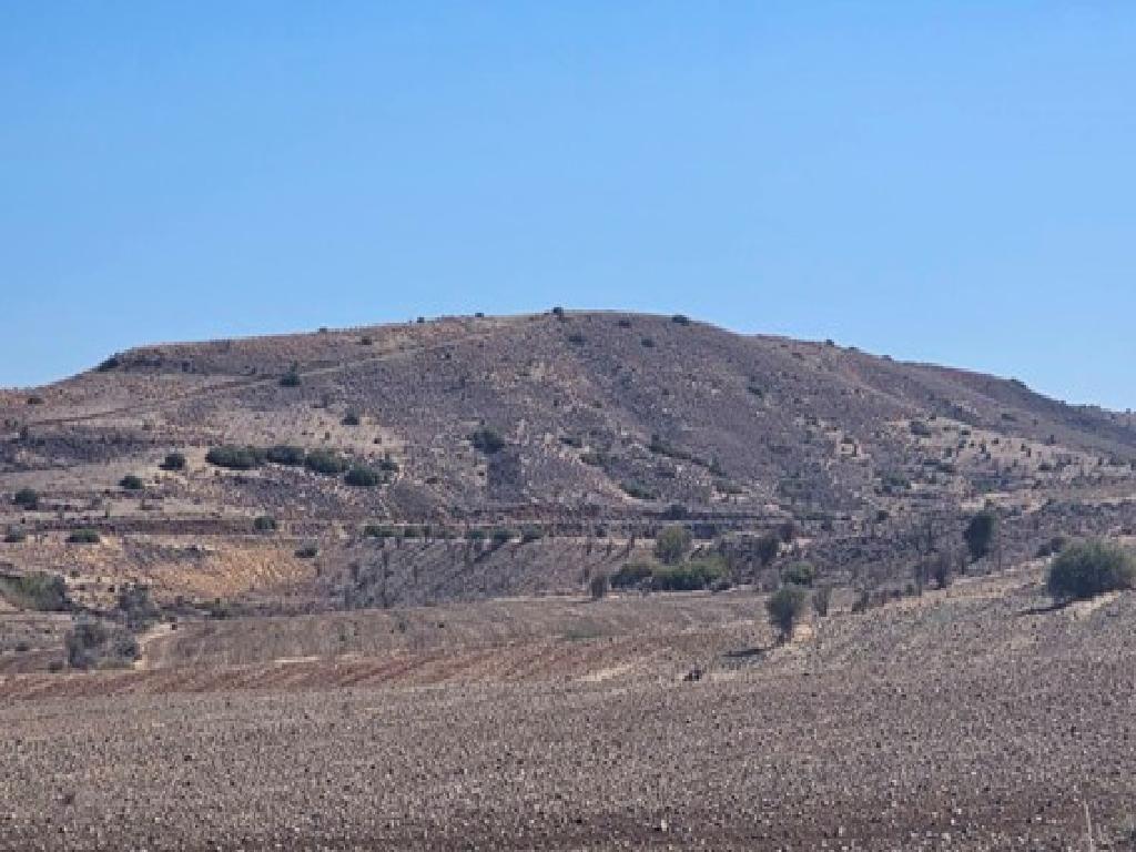 Field (Share) - Agrokipia , Nicosia