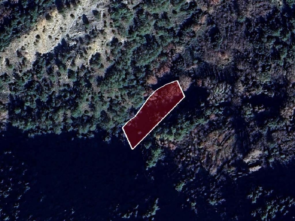 Field-Prodromos-PR40673