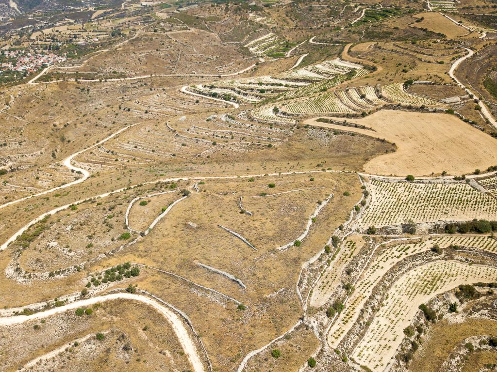 Field-Arsos-PR40944