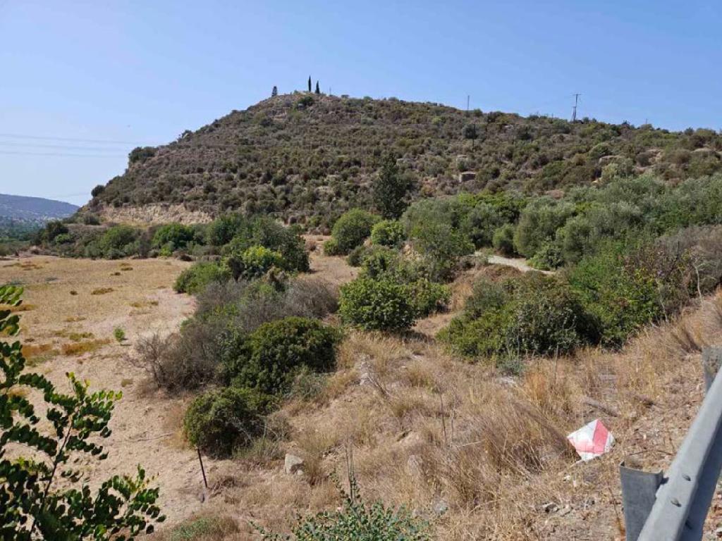 Field - Skarinou, Larnaca