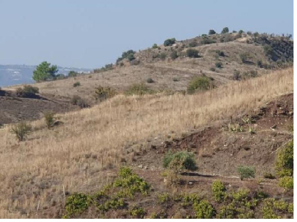 Field-Statos - Agios Fotios-PR41609