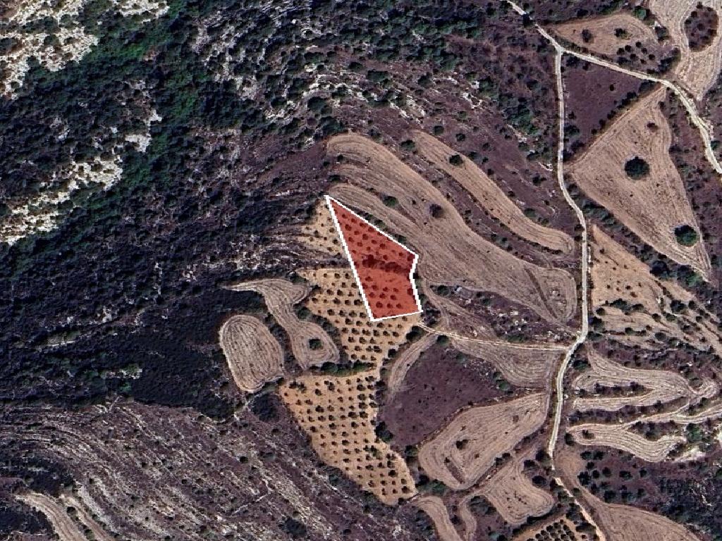 Field-Kritou Terra-PR41713