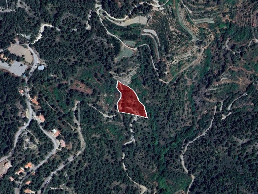 Field-Pelendri-PR42118