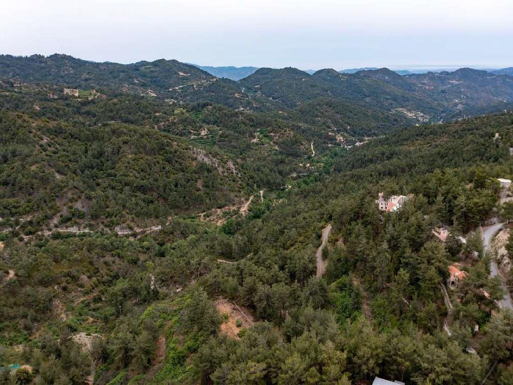 Field-Pelendri-PR42118