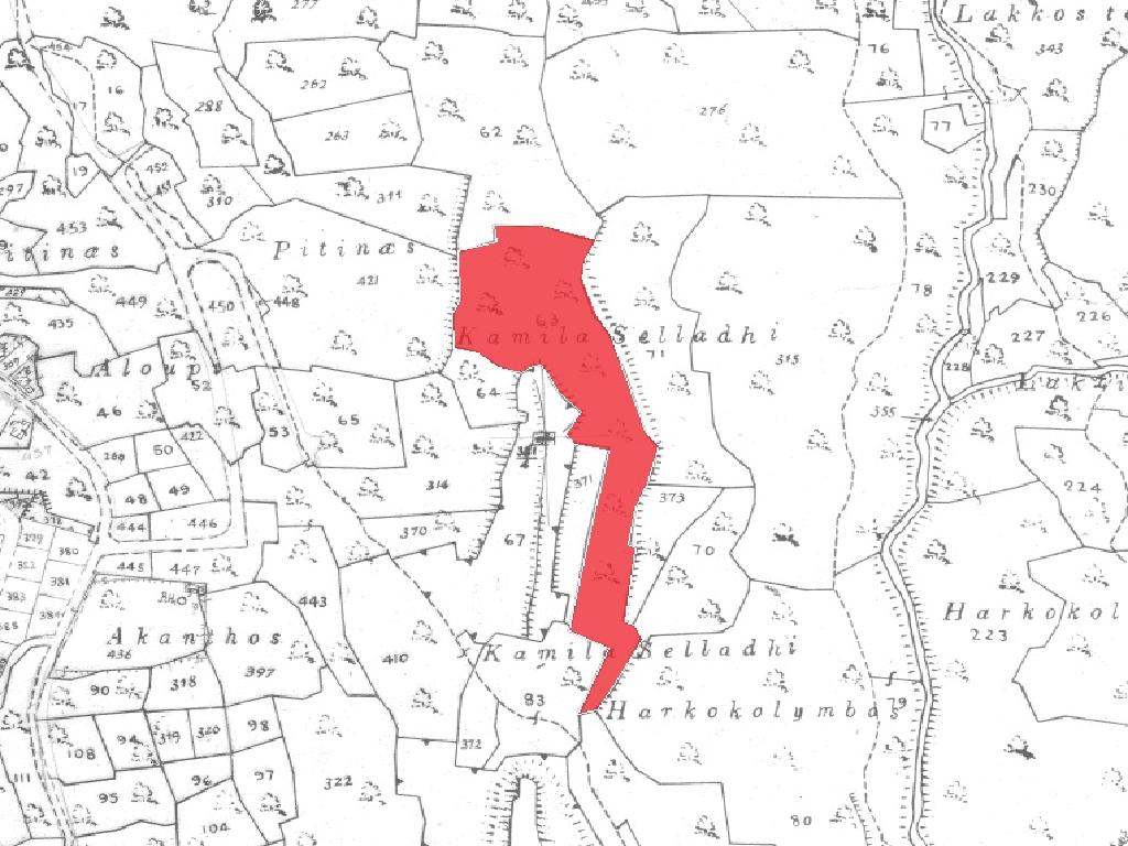 Field-Fasoula-PR42268