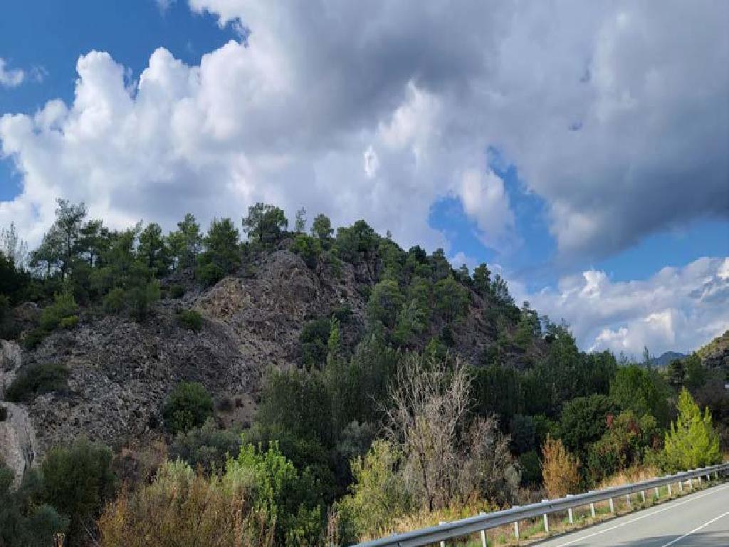 Field-Kapileio-PR42275