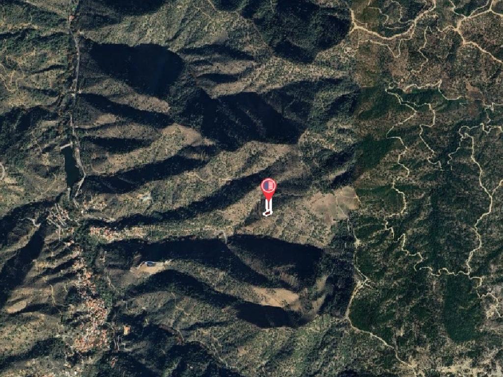 Field-Oikos-PR42654