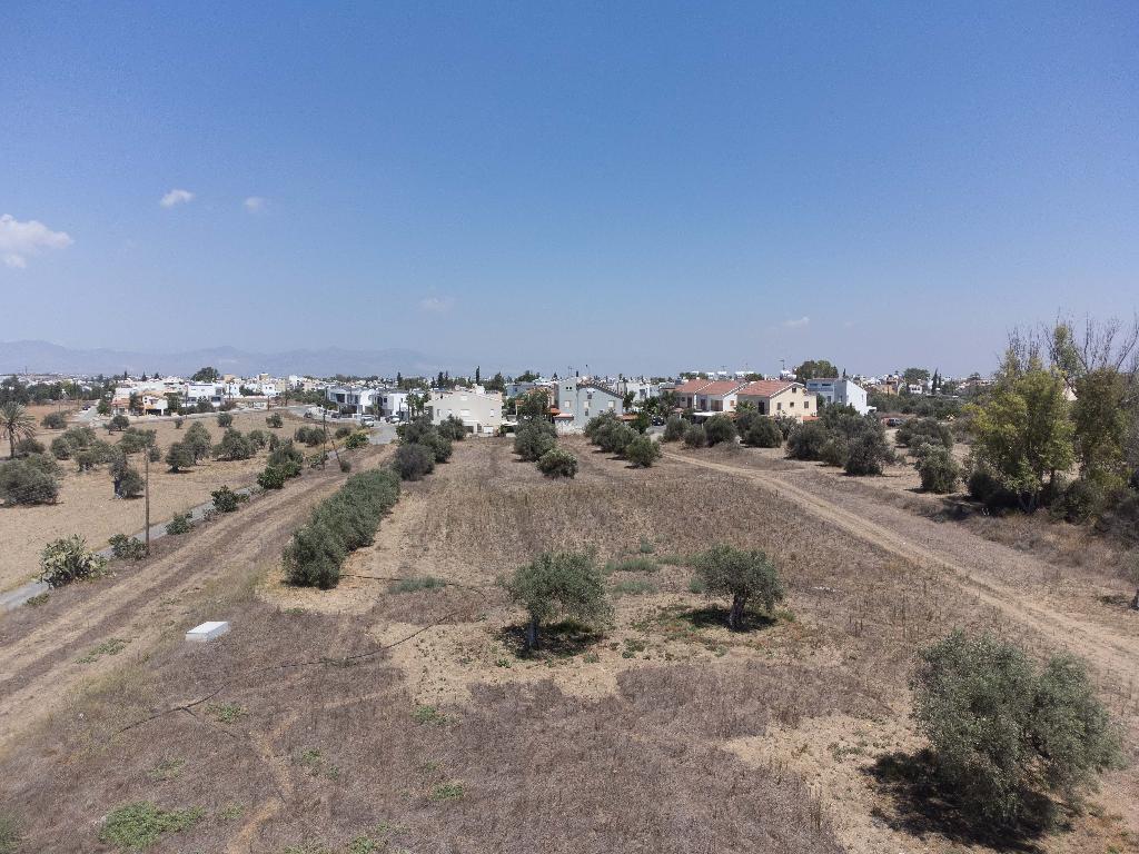 Field-Lakatameia-PR44083