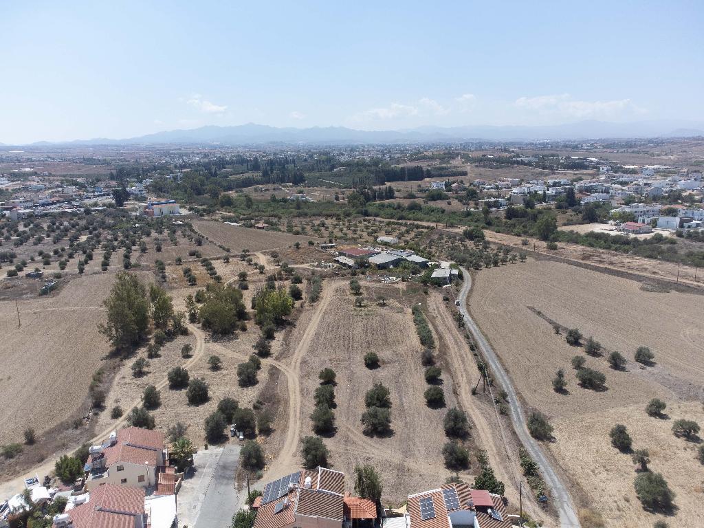 Field - Lakatameia, Nicosia