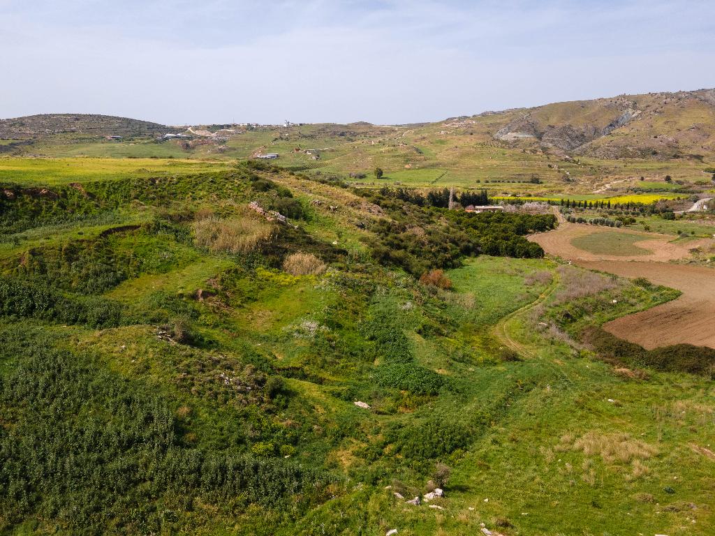 Field-Agia Varvara-PR34136