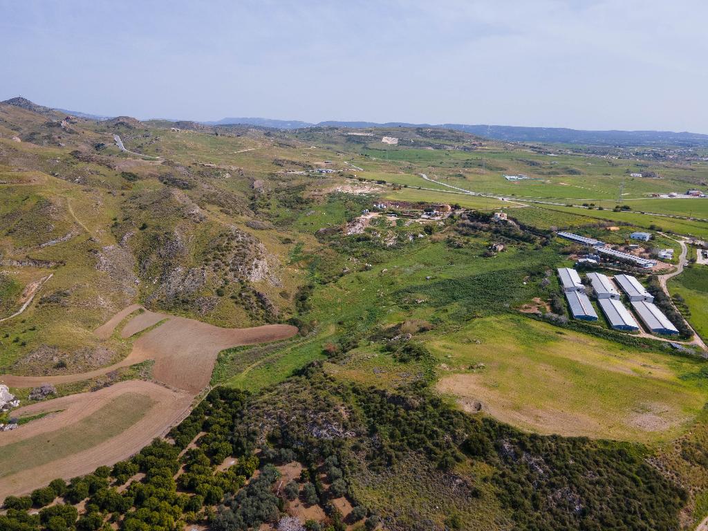Field-Agia Varvara-PR34136