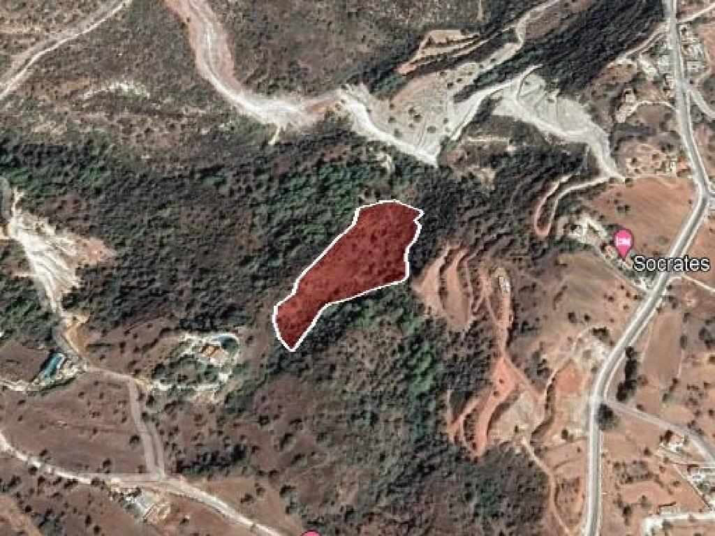 Field - Neo Chorio, Paphos