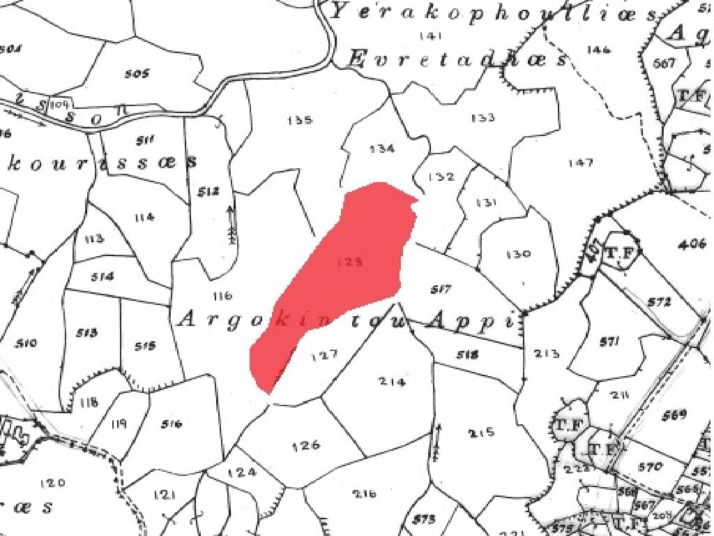 Field-New Chorio-PR35856